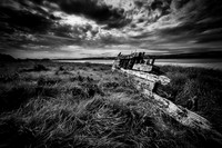 Severn Collier