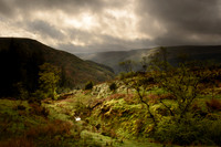 Blaen Y Glyn Morning