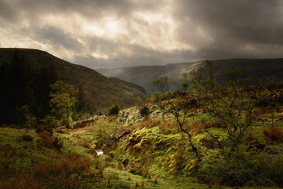 Blaen Y Glyn Morning